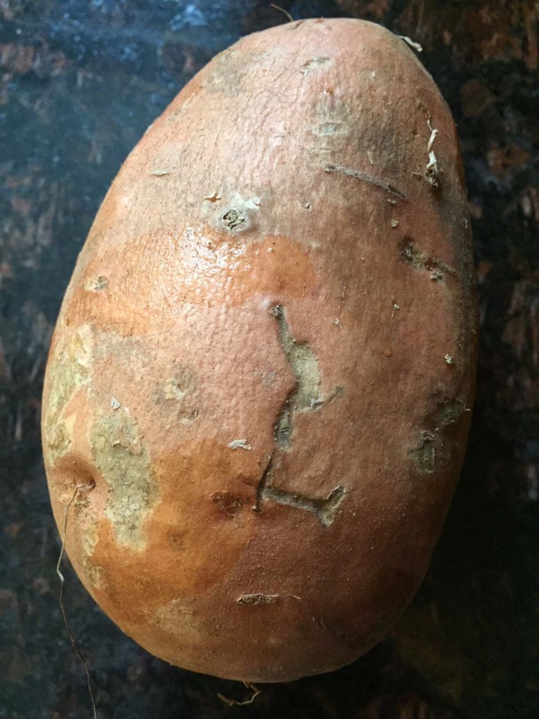 Sweet Potato