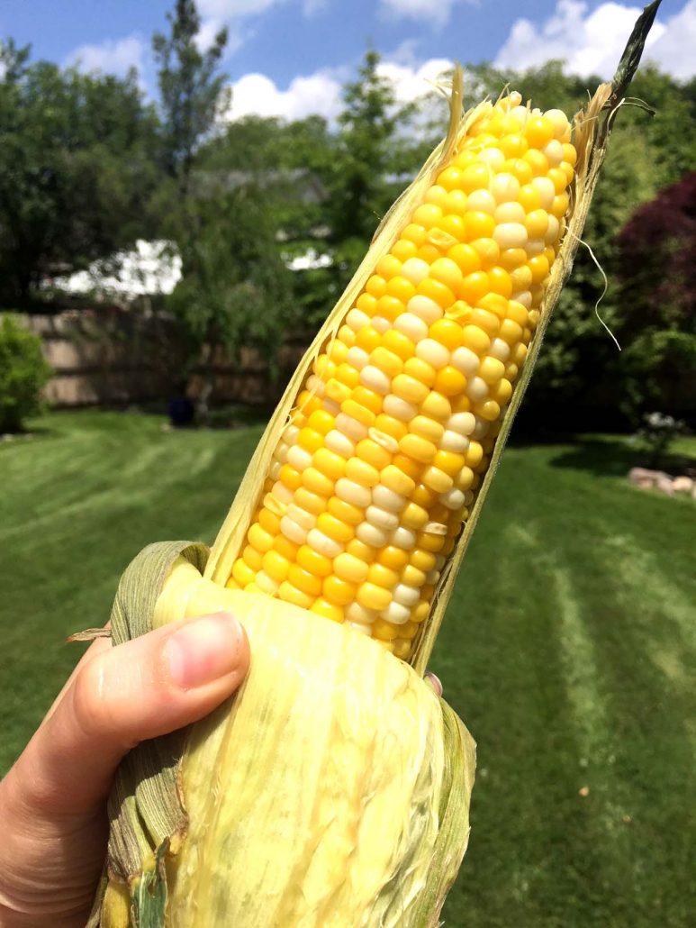 Instant Pot Corn In The Husk