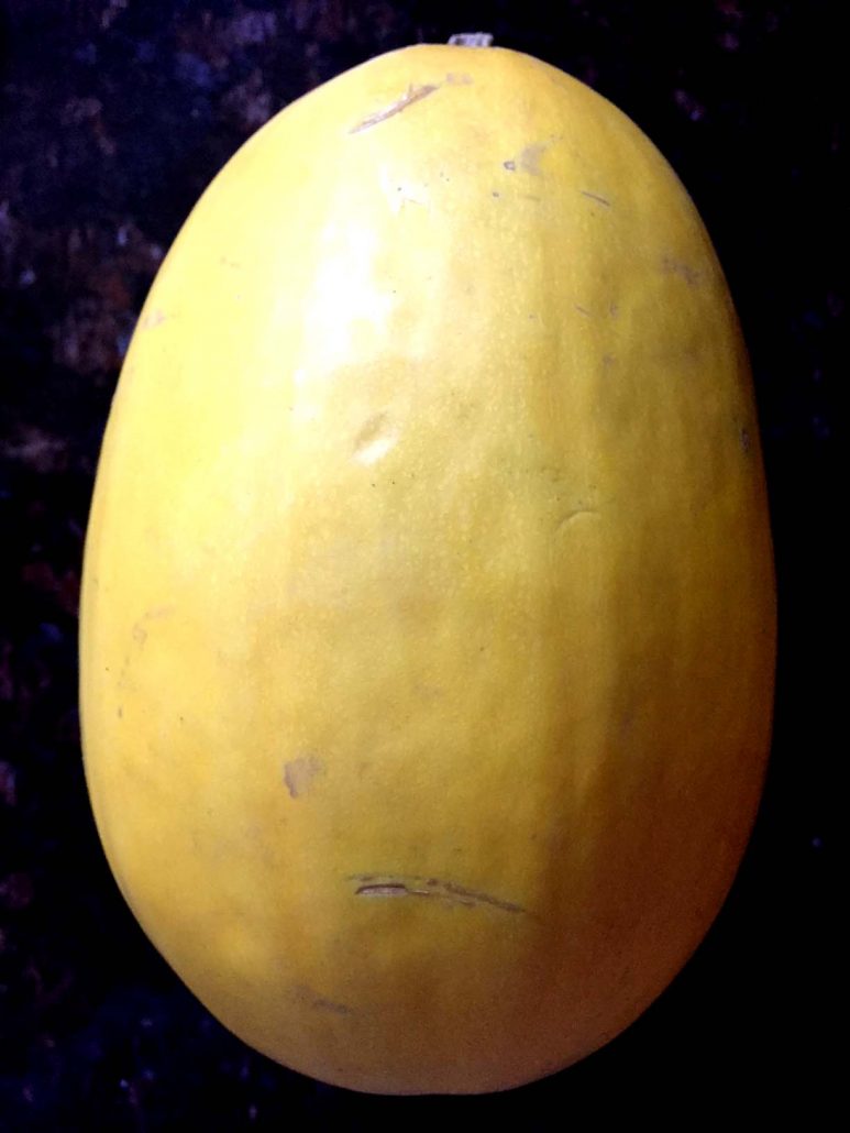 Instant Pot Whole Spaghetti Squash