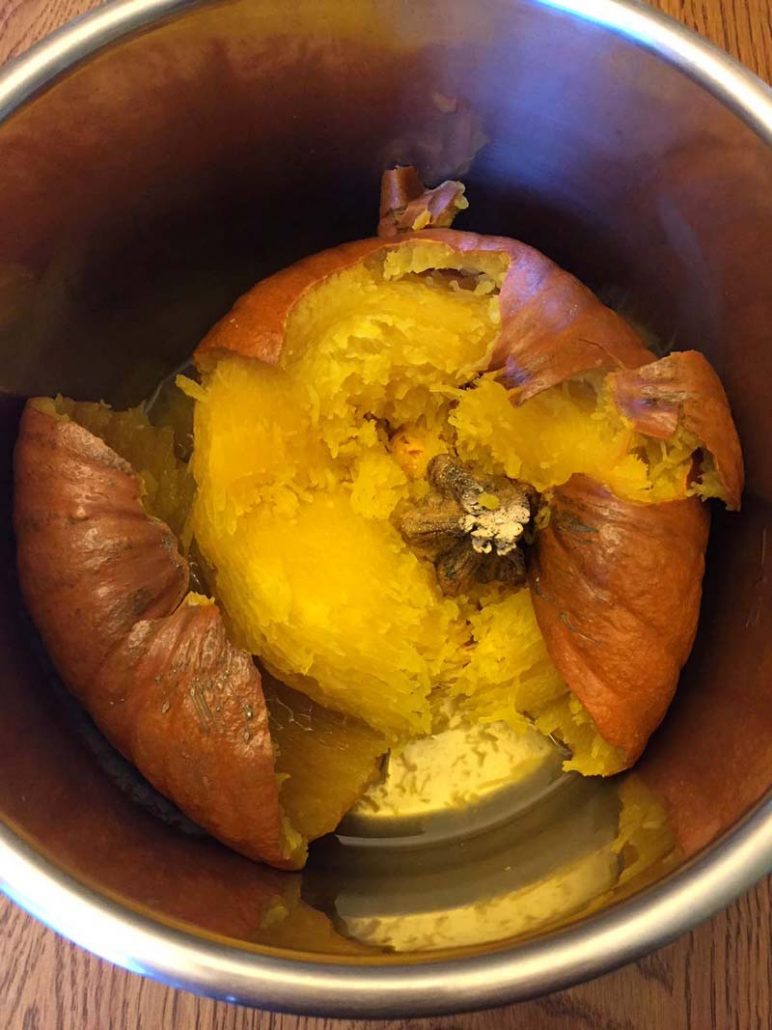 Instant Pot Pumpkin Recipe