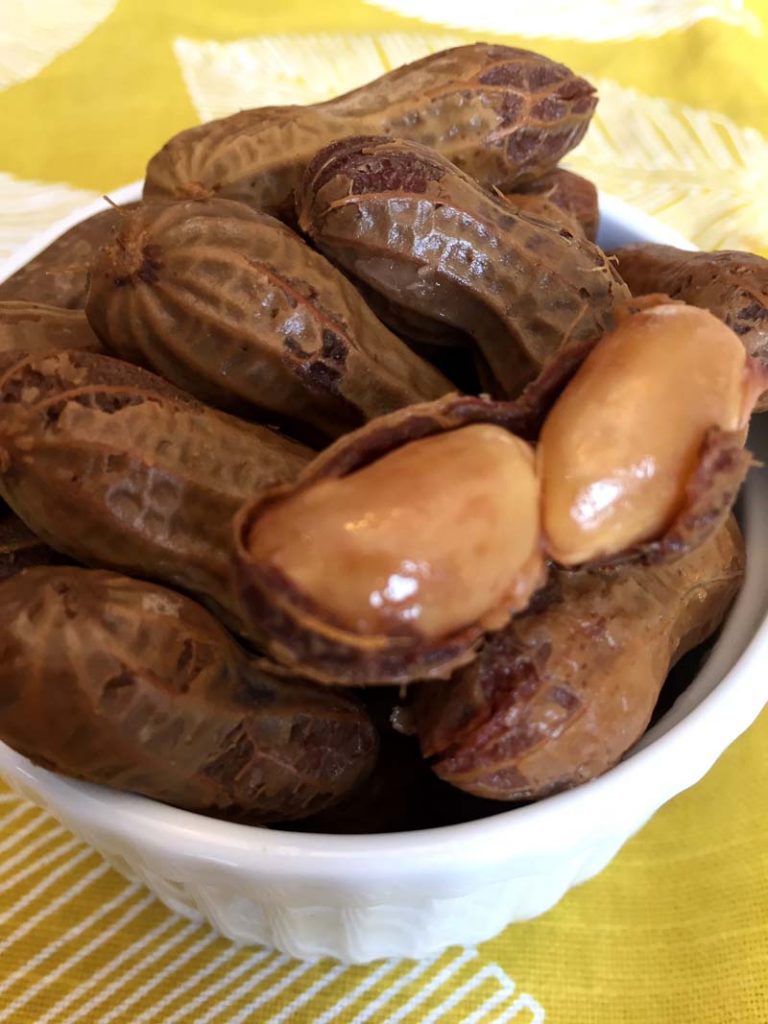 Instant Pot Boiled Peanuts