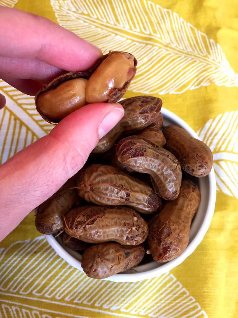 Instapot Boiled Peanuts Recipe