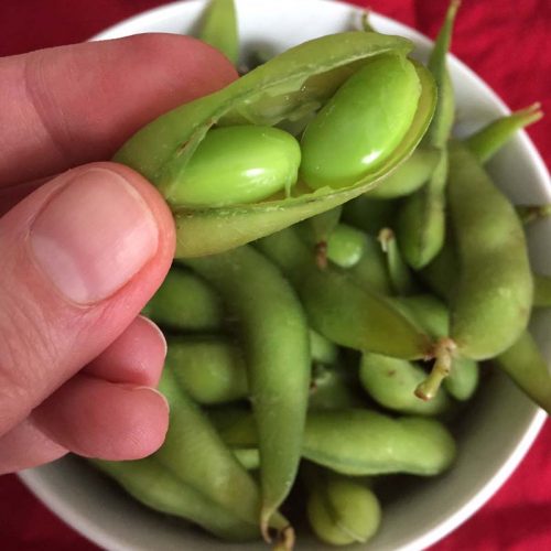 Instant Pot Edamame Recipe Melanie Cooks