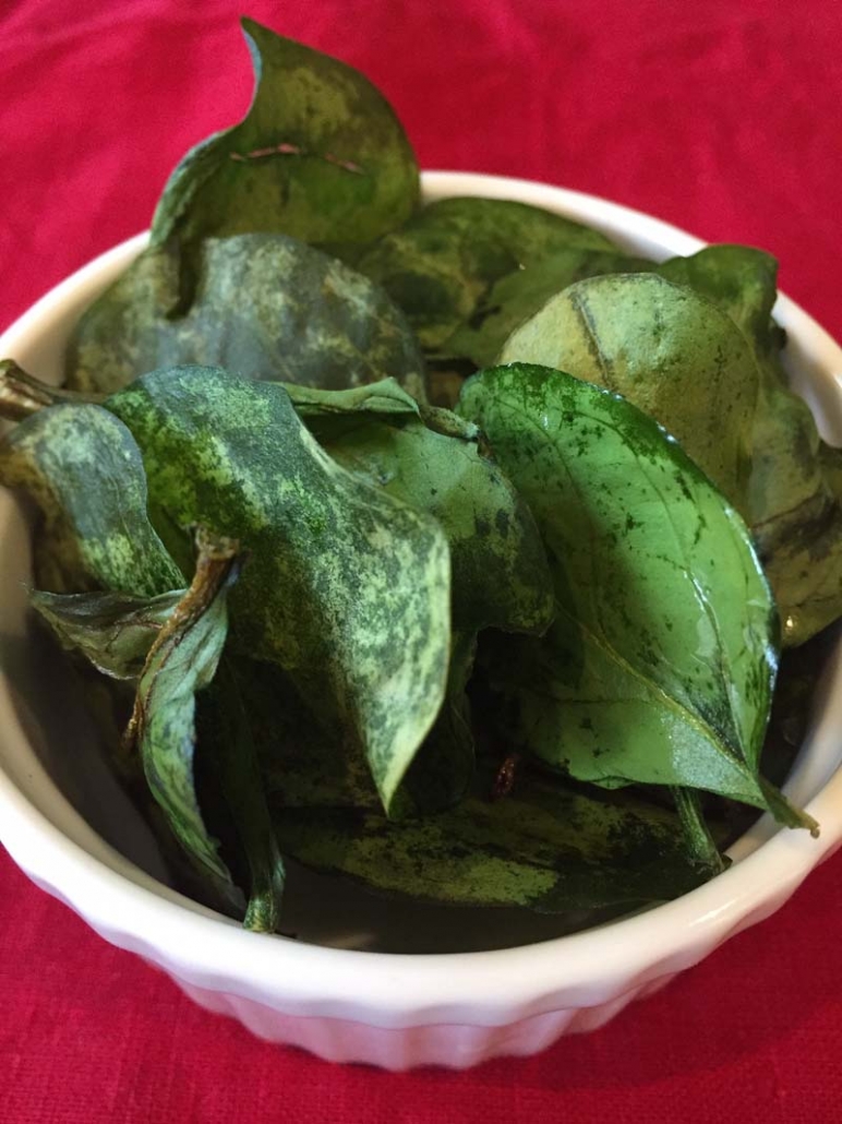 spinach chips recipe