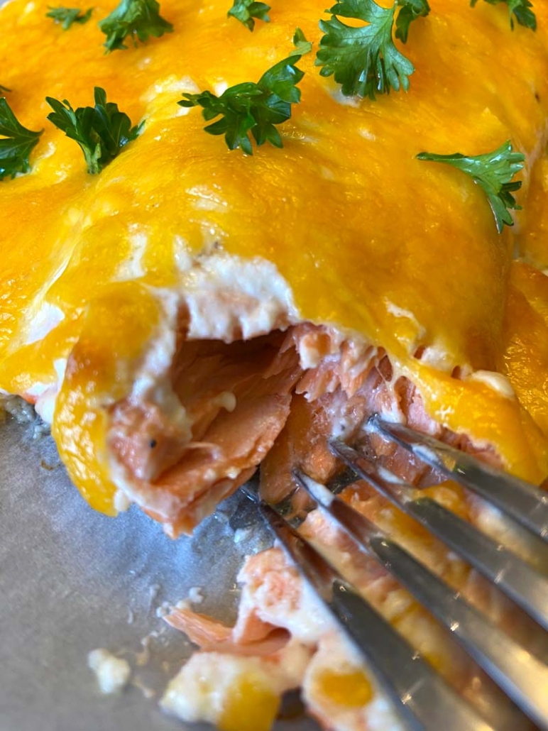 tender salmon with cheese closeup