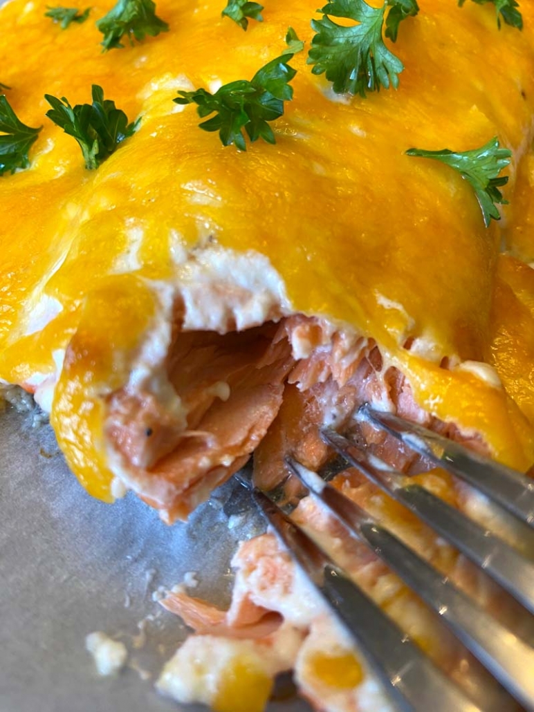 tender salmon with cheese closeup