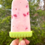 Homemade Frozen Yogurt Popsicles