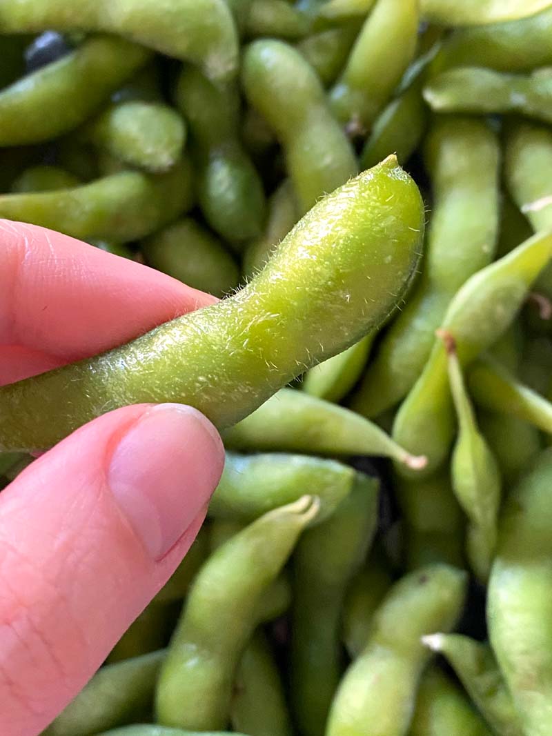 How To Cook Frozen Edamame In The Microwave Melanie Cooks
