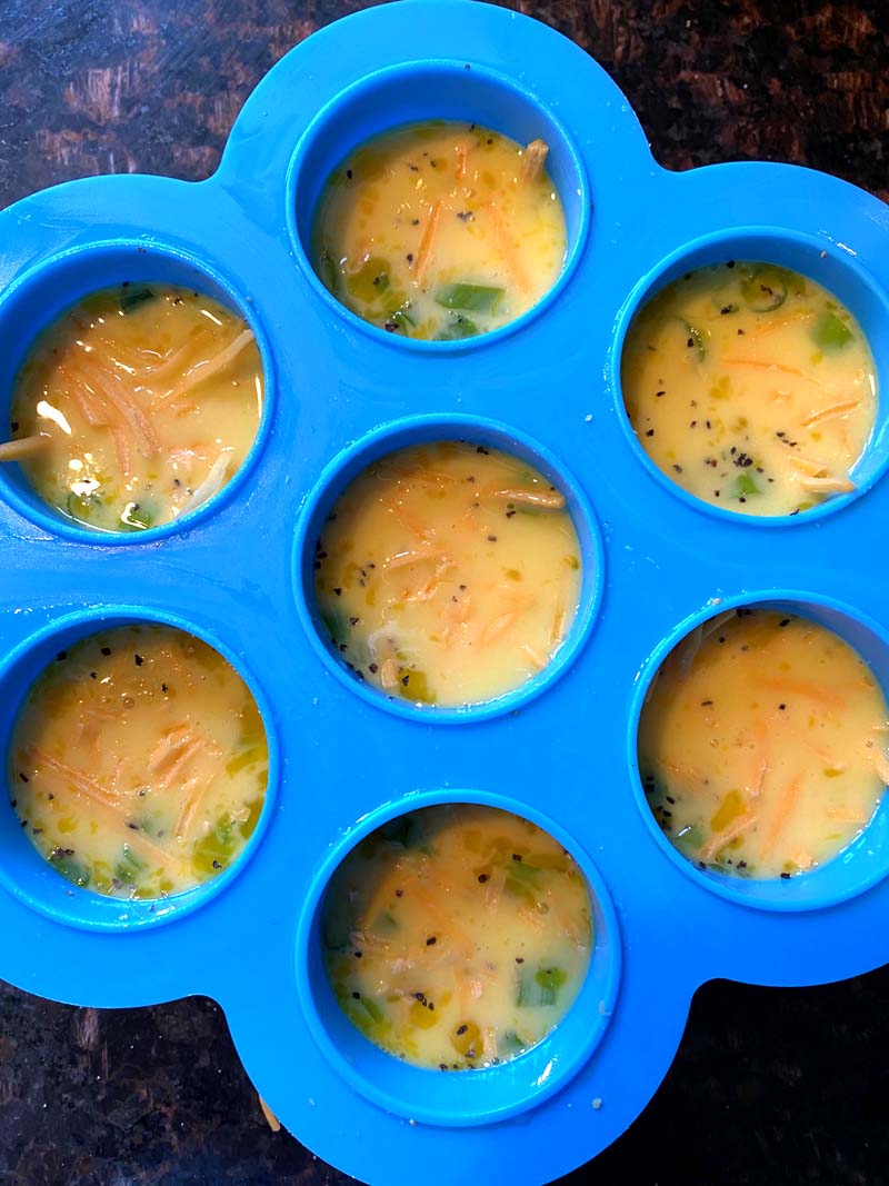 Instant Pot egg bite mold recipes (you can make so much more than eggs in  Instant Pot silicone molds!) - Fab Everyday