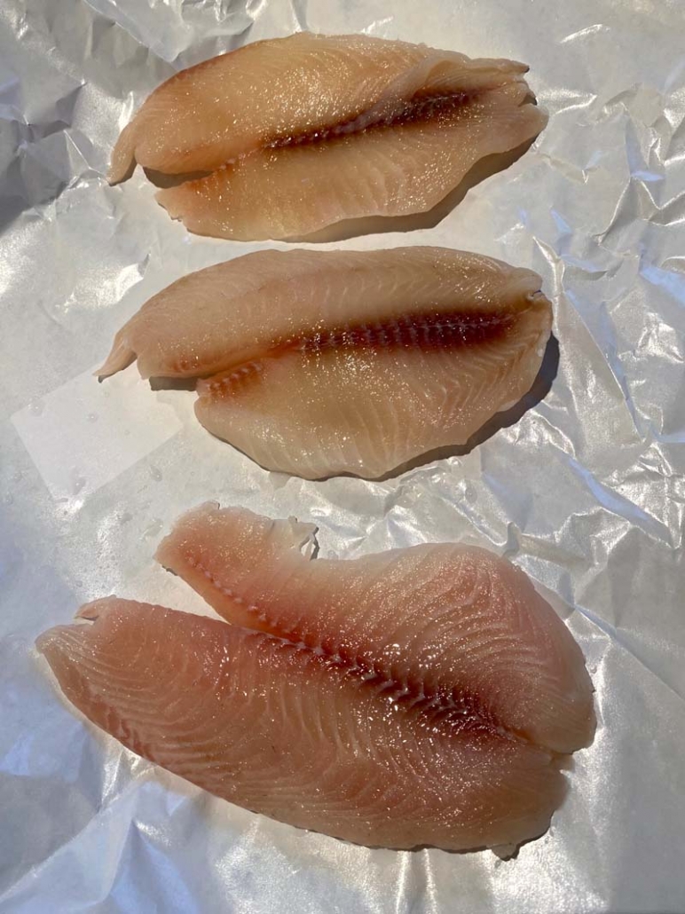 prepping raw tilapia fillets