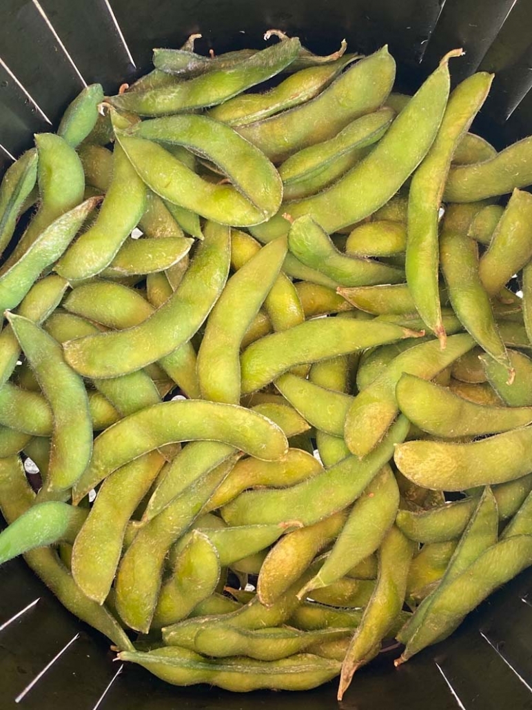 air fryer frozen edamame 