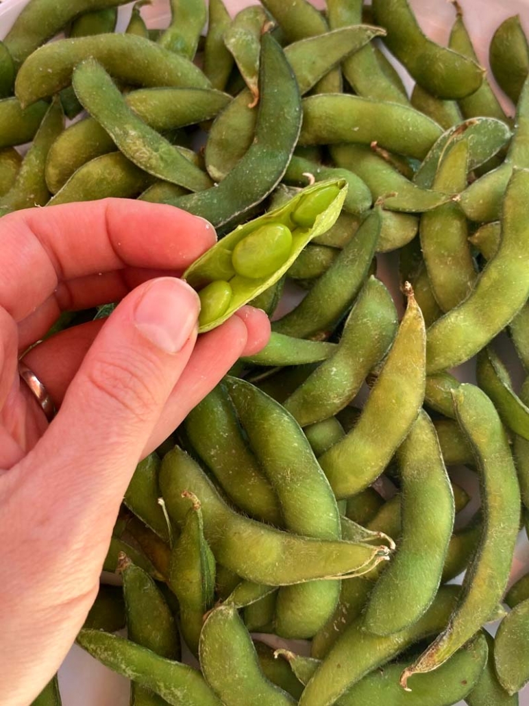 eating edamame out of its pods