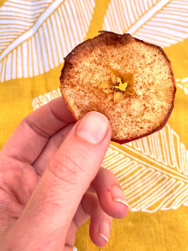 one apple chip with cinnamon 