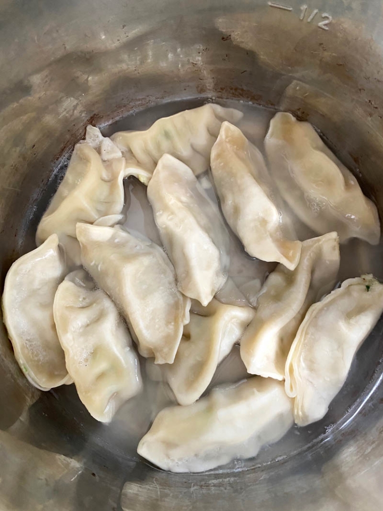 frozen dumplings in the instant pot