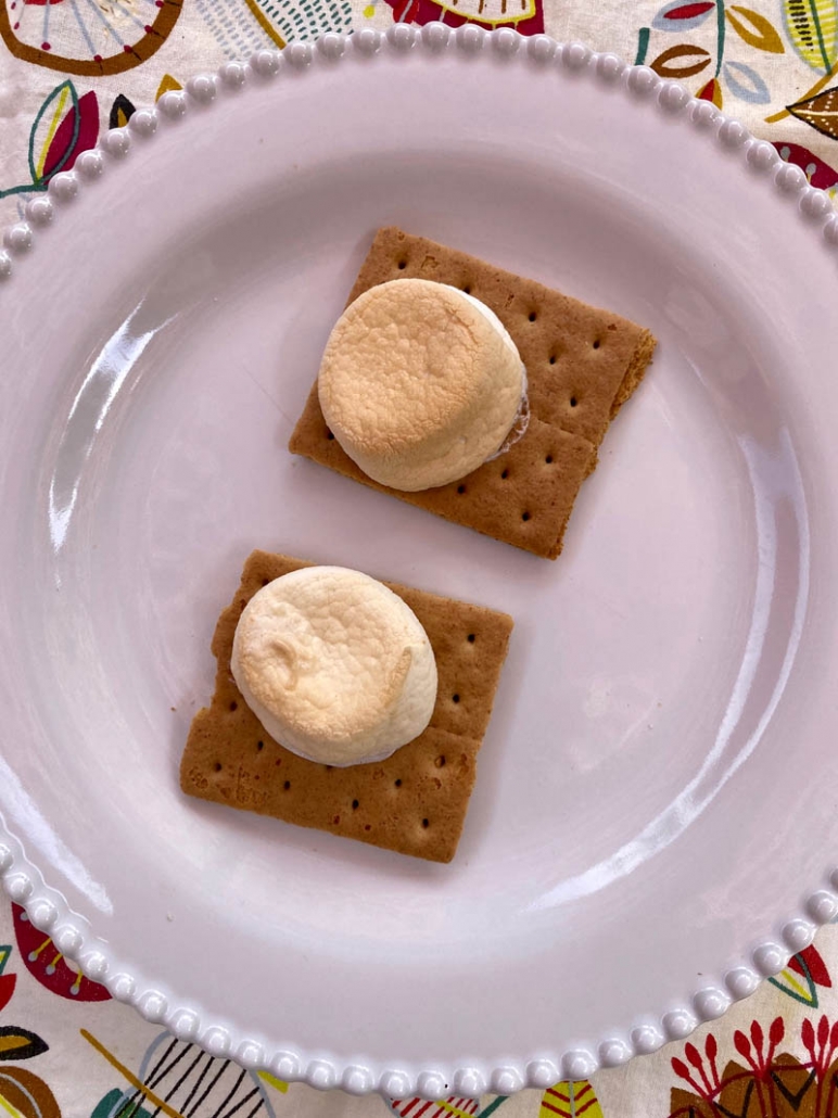 graham cracker roasted marshmallows