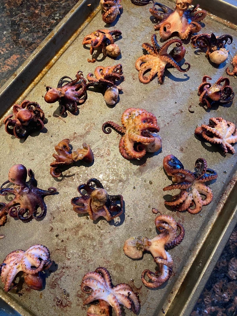 Broiled Baby Octopus Greek Style