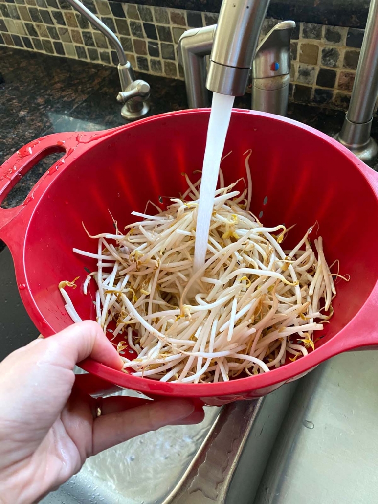 bean sprouts in colander