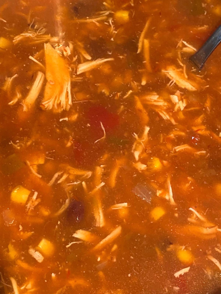 close up of chicken tortilla soup in the instant pot