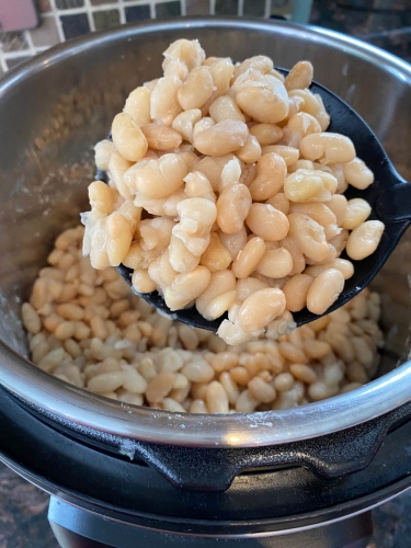 Cooked great northern beans in an Instant Pot.