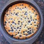 Baked gluten free blueberry cake in the pan.