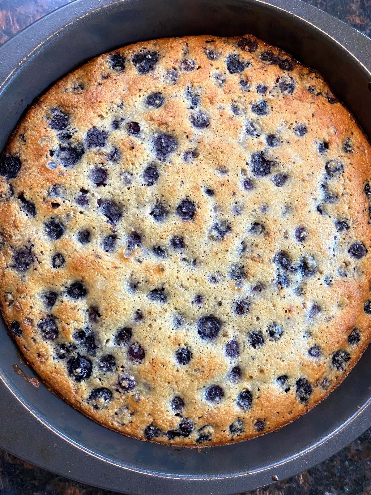 Baked gluten free blueberry cake in the pan.