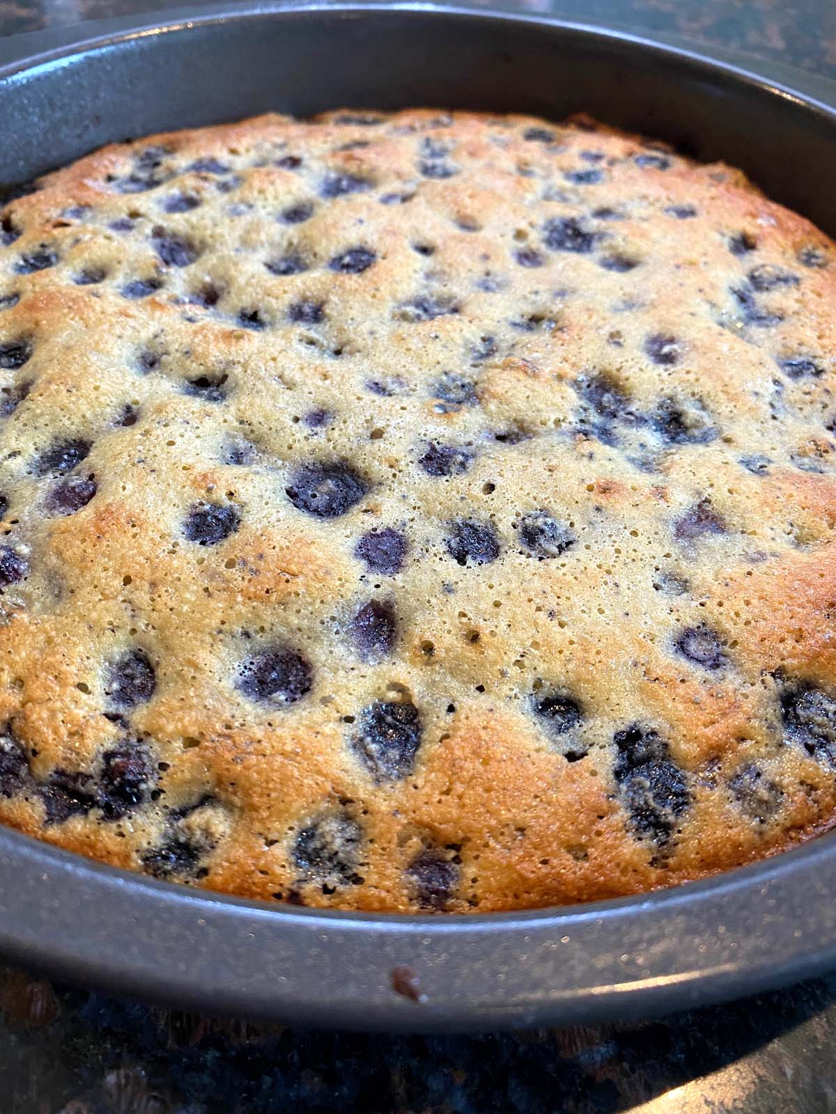 Baked gluten free blueberry cake in the pan.