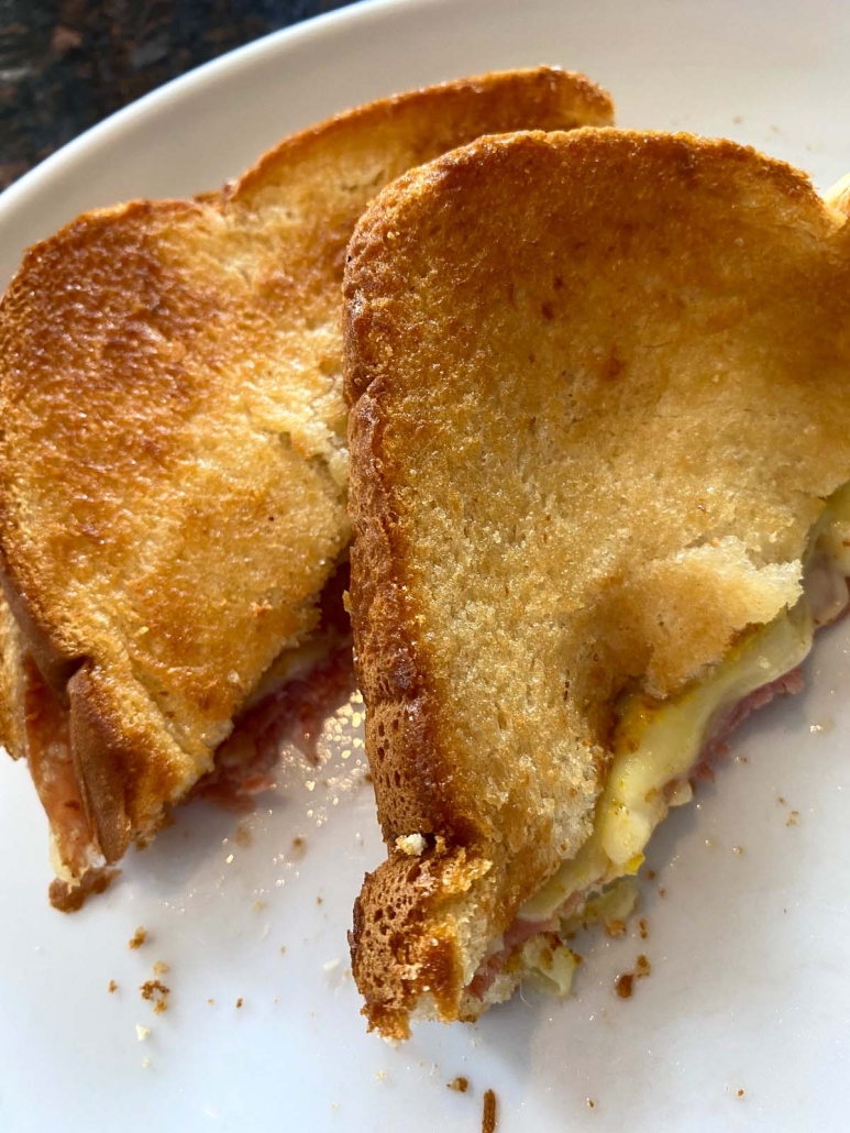toasted sandwich sliced on a plate