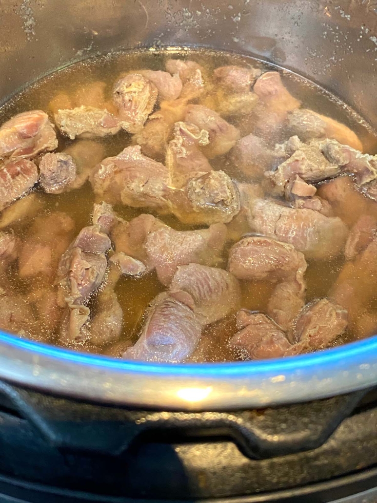 seasoned chicken gizzards in instant pot