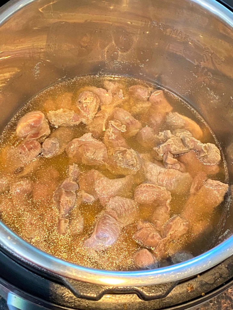 chicken gizzards in water in instant pot