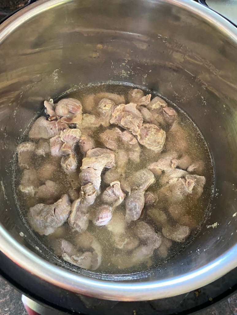 chicken gizzards in seasoning and water in instant pot