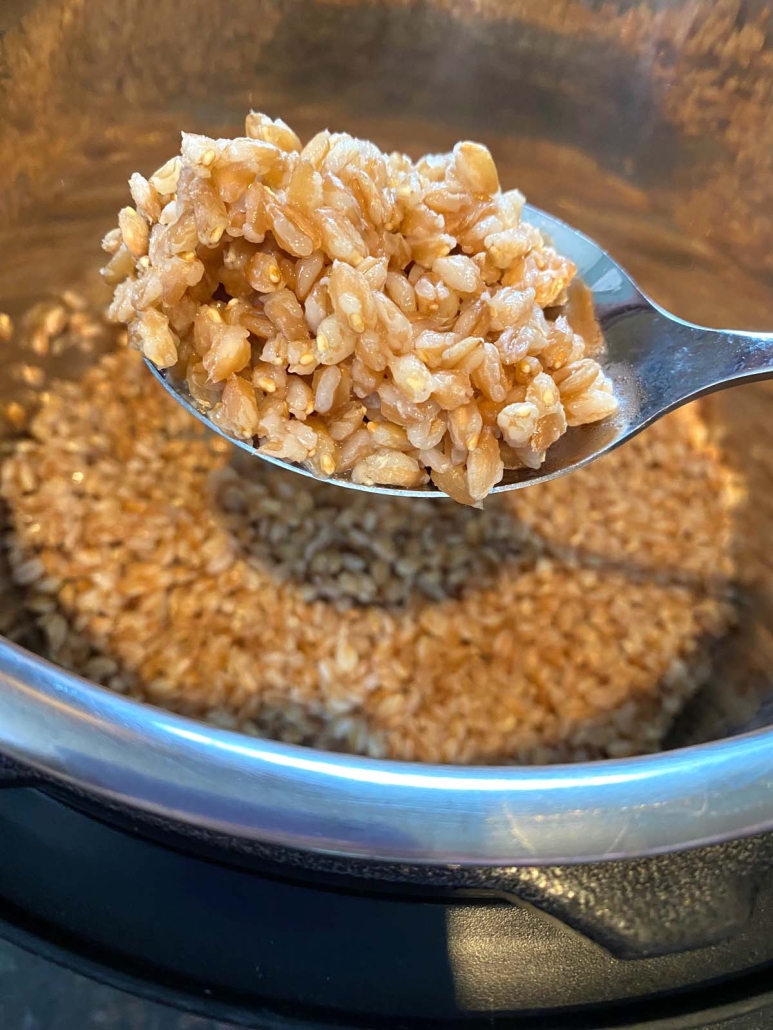 spoon scooping up cooked farro