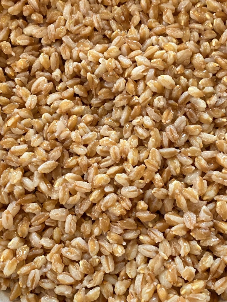 close-up of cooked farro