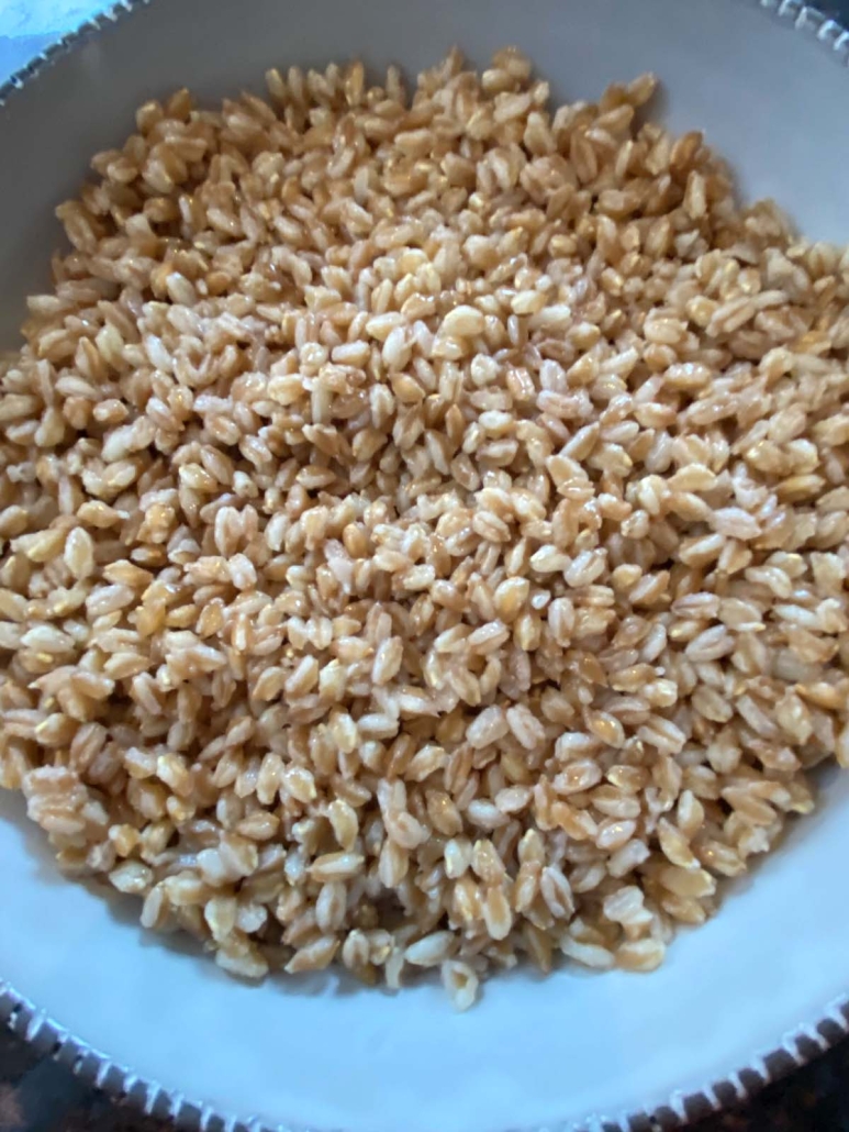 bowl of cooked farro