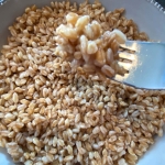 Instant Pot Farro (8)