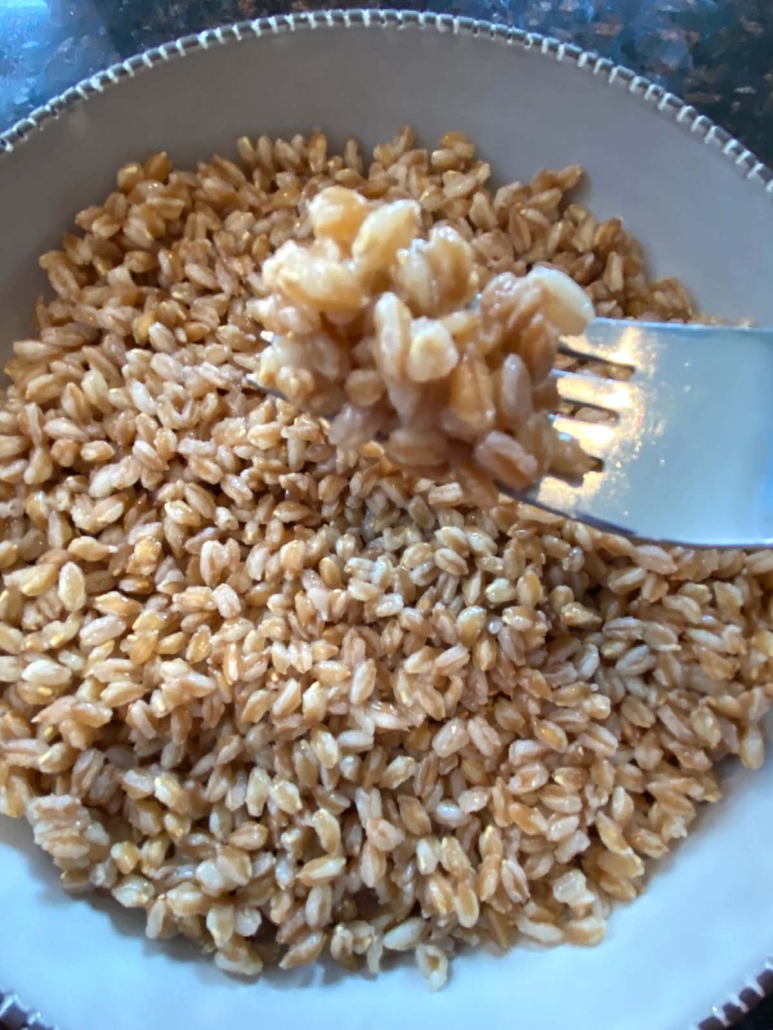 fork holding cooked farro