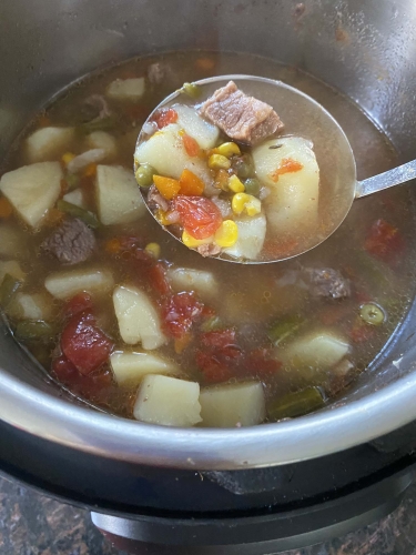 Instant Pot Vegetable Beef Soup (9)