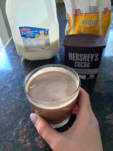 How To Make Chocolate Milk (8)