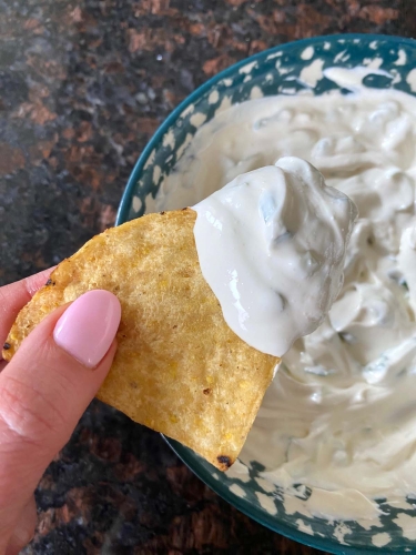 Sour Cream And Onion Dip (2)
