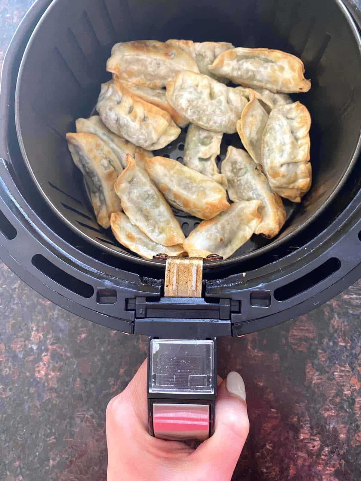 Trader Joe’s Gyoza In The Air Fryer Melanie Cooks