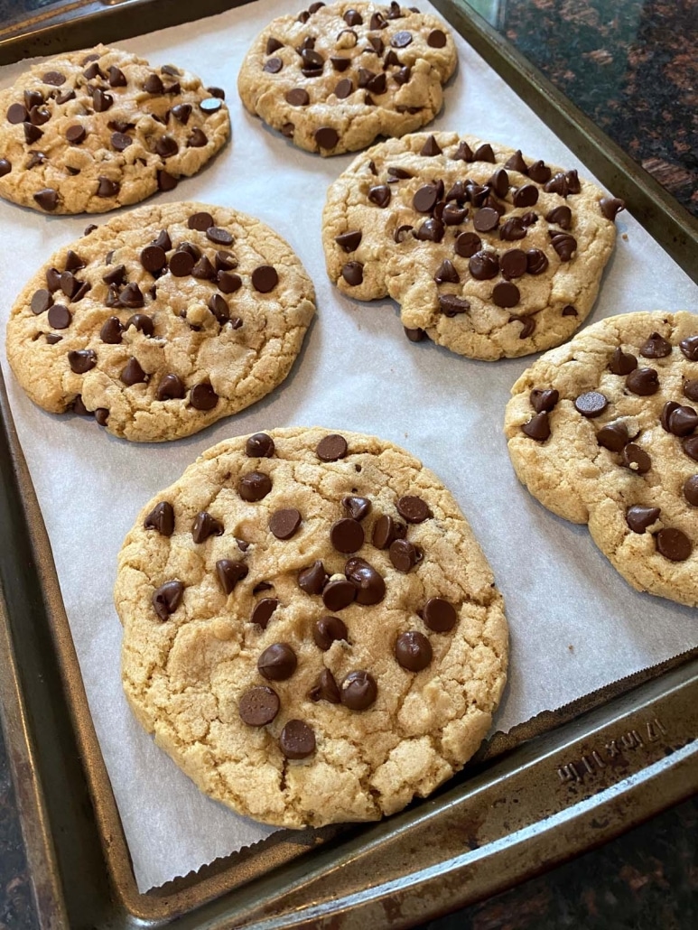 Chocolate Chip Cookies made without dairy