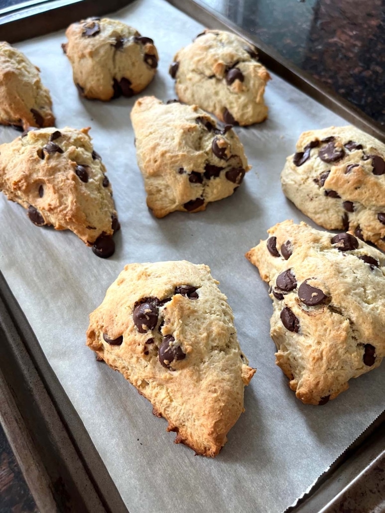 oven-baked, easy recipe Chocolate Chip Scones
