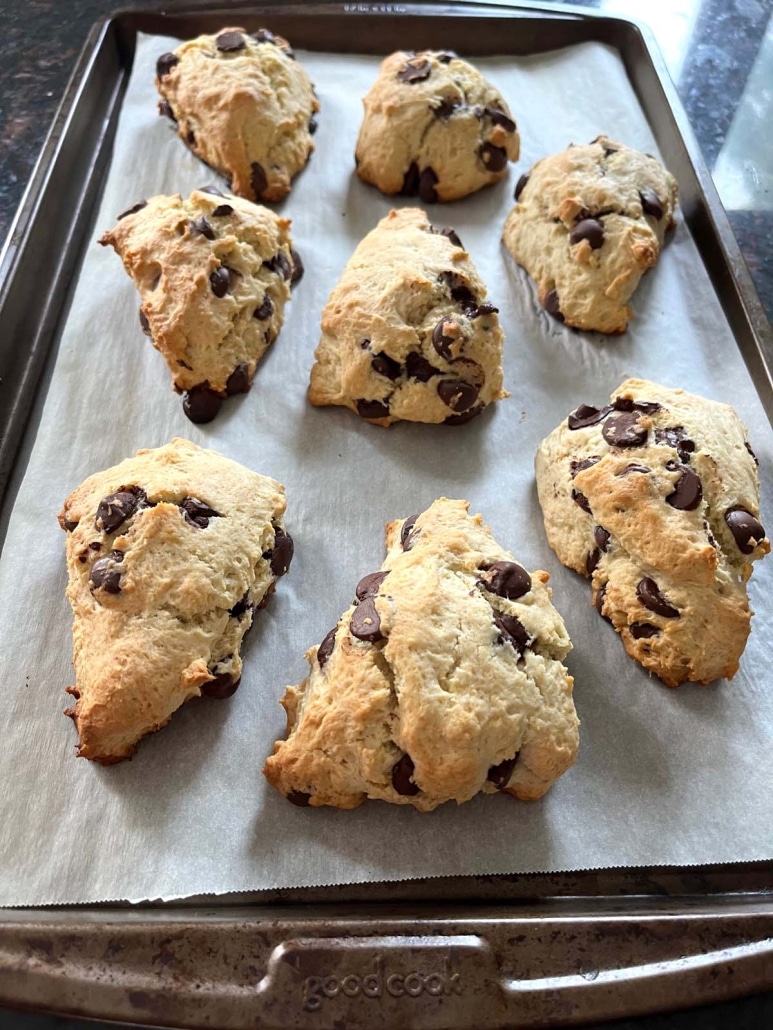 Chocolate Chip Scones on a baking sheet