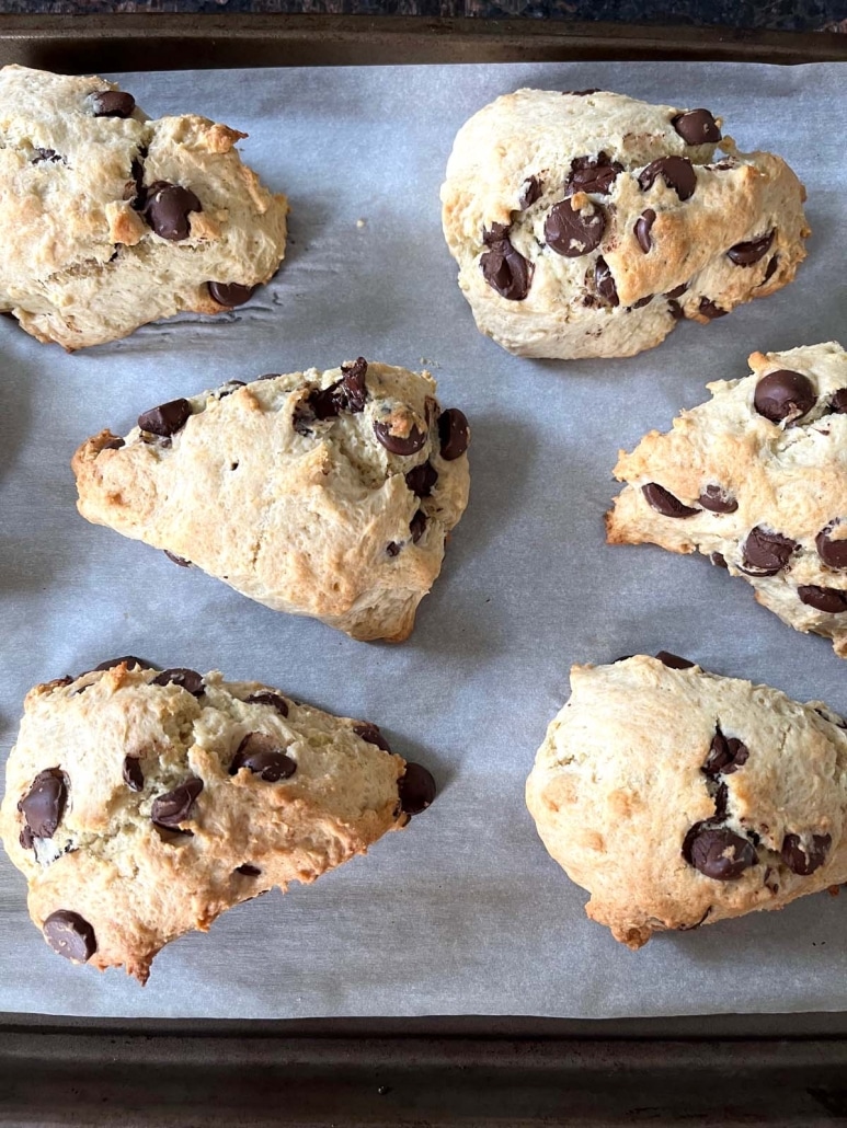 fluffy and tender Chocolate Chip Scones on a baking sheet