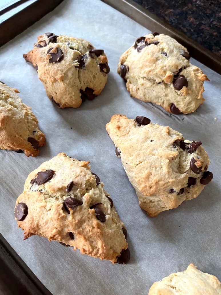 Chocolate Chip Scones, fresh out of the oven