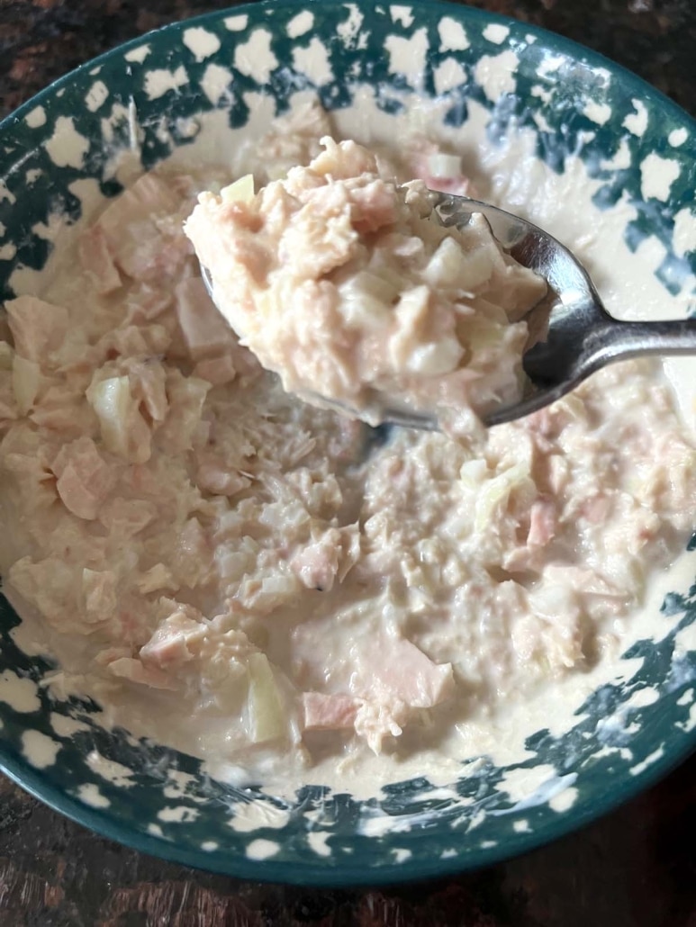 spoonful of tuna salad with chopped onion and Greek yogurt