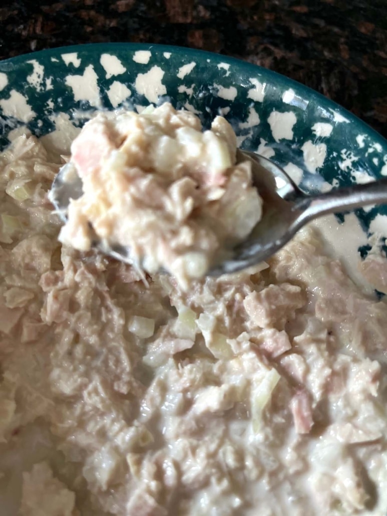 spoonful of healthy snack Greek Yogurt Tuna Salad