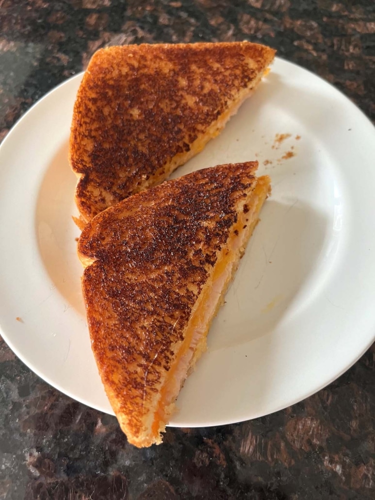 slices of tasty Grilled Turkey And Cheese Sandwich on a plate