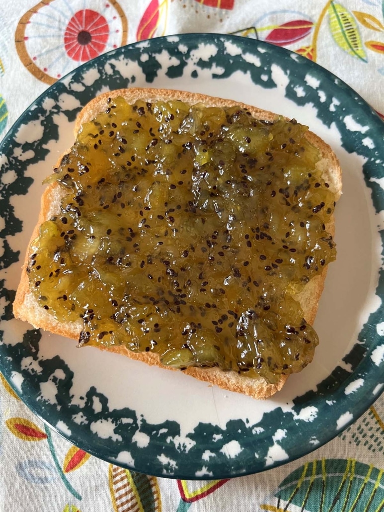 toast with homemade Kiwi Jam on top