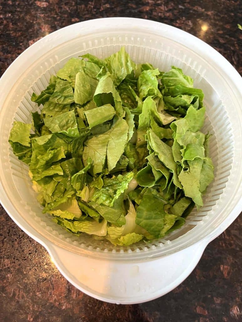 romaine lettuce cutting guide