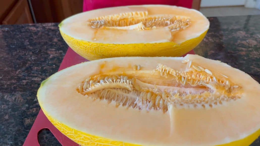 Close-up of halves Hami melon cut in the middle.
